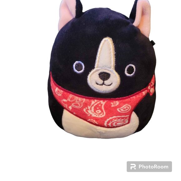 Squishmallows Other - NWOT 6" Teddy the Dog Squishmallow